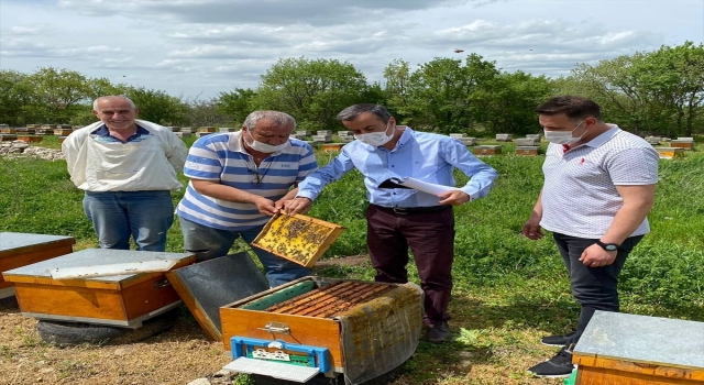 Kırklareli’nde tescilli meşe balı üreticilerinin koloni kontrolleri yapıldı