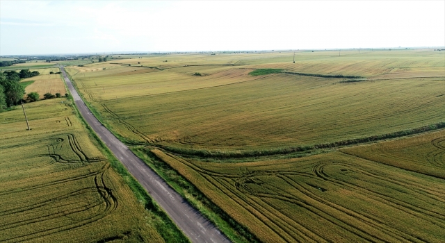 ÜRÜN ÇEŞİTLİLİĞİ TRAKYA TOPRAKLARINI RENKLENDİRİYOR