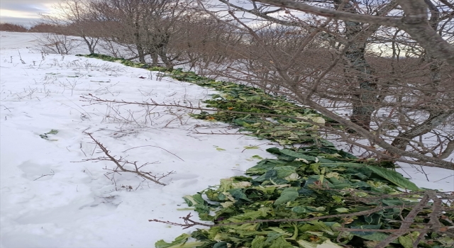 Tekirdağ’da yaban hayvanları için doğaya 1 ton 150 kilo yem bırakıldı