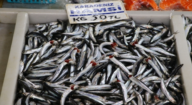 Tekirdağ’da hamsi tezgahların gözdesi oldu 