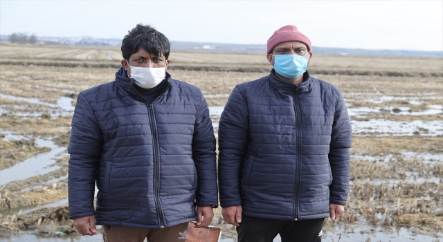 Yunanistan sınırında donarak ölen düzensiz göçmenlerin arkadaşları yaşadıklarını anlattı