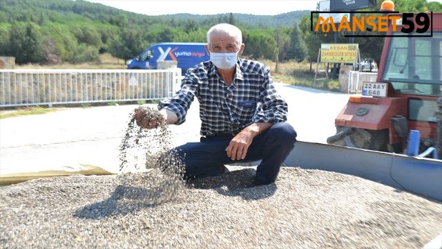 Keşan’da yılın ilk ayçiçeği ürününün salon satışı yapıldı