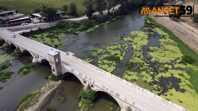 Kuraklık nedeniyle düşen debi ”su mercimeği kolonileri”ne yol açtı