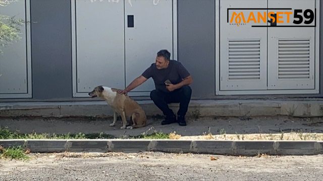 Tekirdağ’da köpeğin barınağa gönderilmek istenmesine vatandaş tepki gösterdi