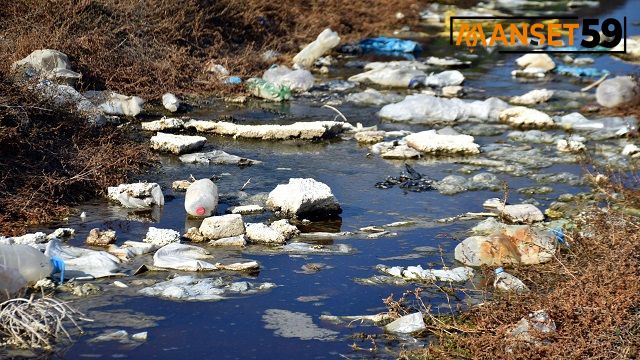 Edirne'de çevrecileri hareket geçiren görüntü