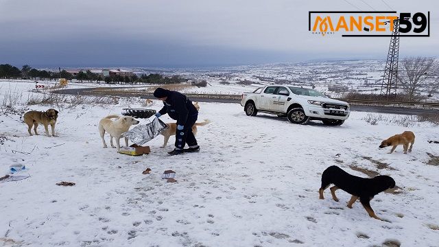 BÜYÜKŞEHİR ZORLU KIŞ ŞARTLARINDA SOKAK HAYVANLARINI DA UNUTMADI