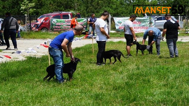 ERGENE’DE KÖPEK GÜZELLİK YARIŞMASI YAPILDI