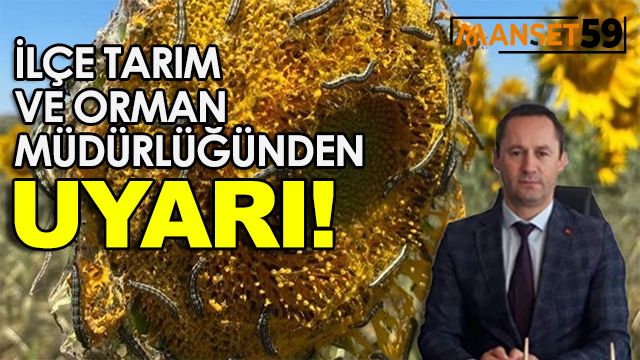 1 TANE BİLE GÖRÜRSENİZ BİLDİRİN!