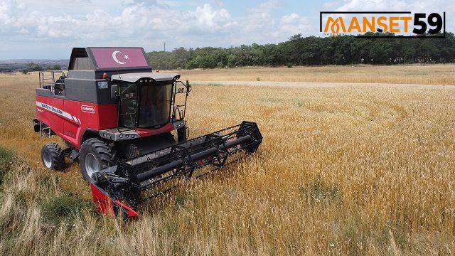 Hasat Edilen Buğdaylar Sofralarla Buluşacak