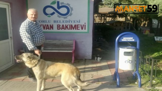 Hayvan Bakımevimiz Sevimli Dostlarımızın Hep Yanında