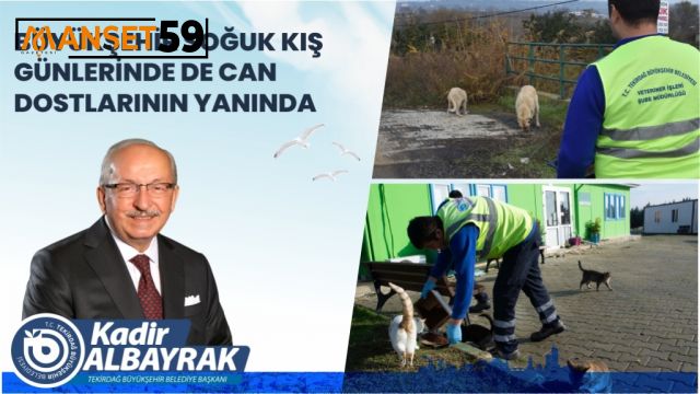 BÜYÜKŞEHİR SOĞUK KIŞ GÜNLERİNDE DE CAN DOSTLARININ YANINDA